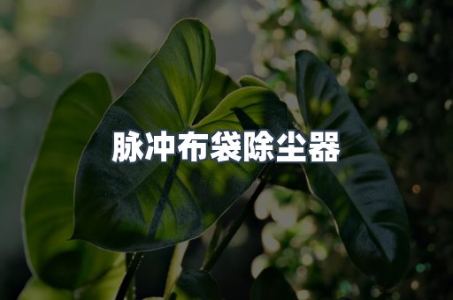 脉冲布袋除尘器