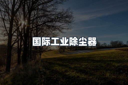 国际工业除尘器